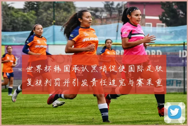 世界杯韩国承认黑哨促使国际足联复核判罚并引发责任追究与赛果重评